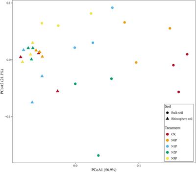 Effects of nitrogen and phosphorus imbalance input on rhizosphere and bulk soil bacterial community of Suaeda salsa in the Yellow River Delta